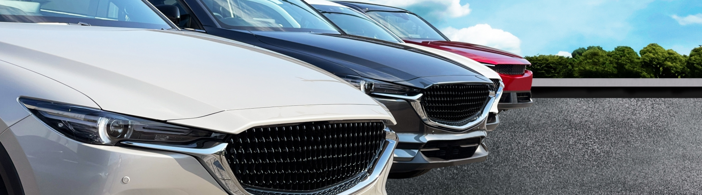 車買取・販売事例